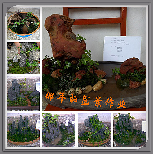 【每日一歌】＋一堆乱码。262 / 作者:麗児mmmmm / 帖子ID:92823