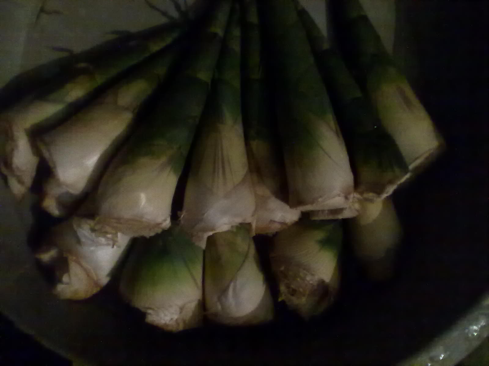 看图，不说话276 / 作者:蔷薇Jolie / 帖子ID:92836