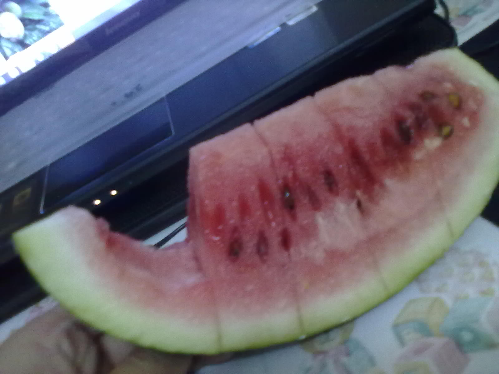 看图，不说话774 / 作者:蔷薇Jolie / 帖子ID:92836