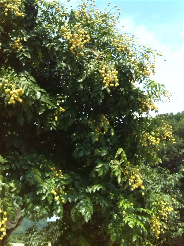 味道不错283 / 作者:烟火的暧昧 / 帖子ID:92856