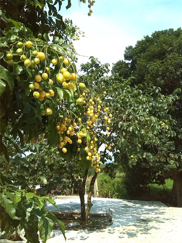 味道不错47 / 作者:烟火的暧昧 / 帖子ID:92856