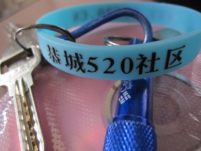 说一说，你当初是怎么进的520？890 / 作者:北辰 / 帖子ID:93480