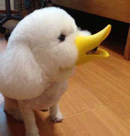 主银，你太坏了337 / 作者:结局、丆過如此 / 帖子ID:93618