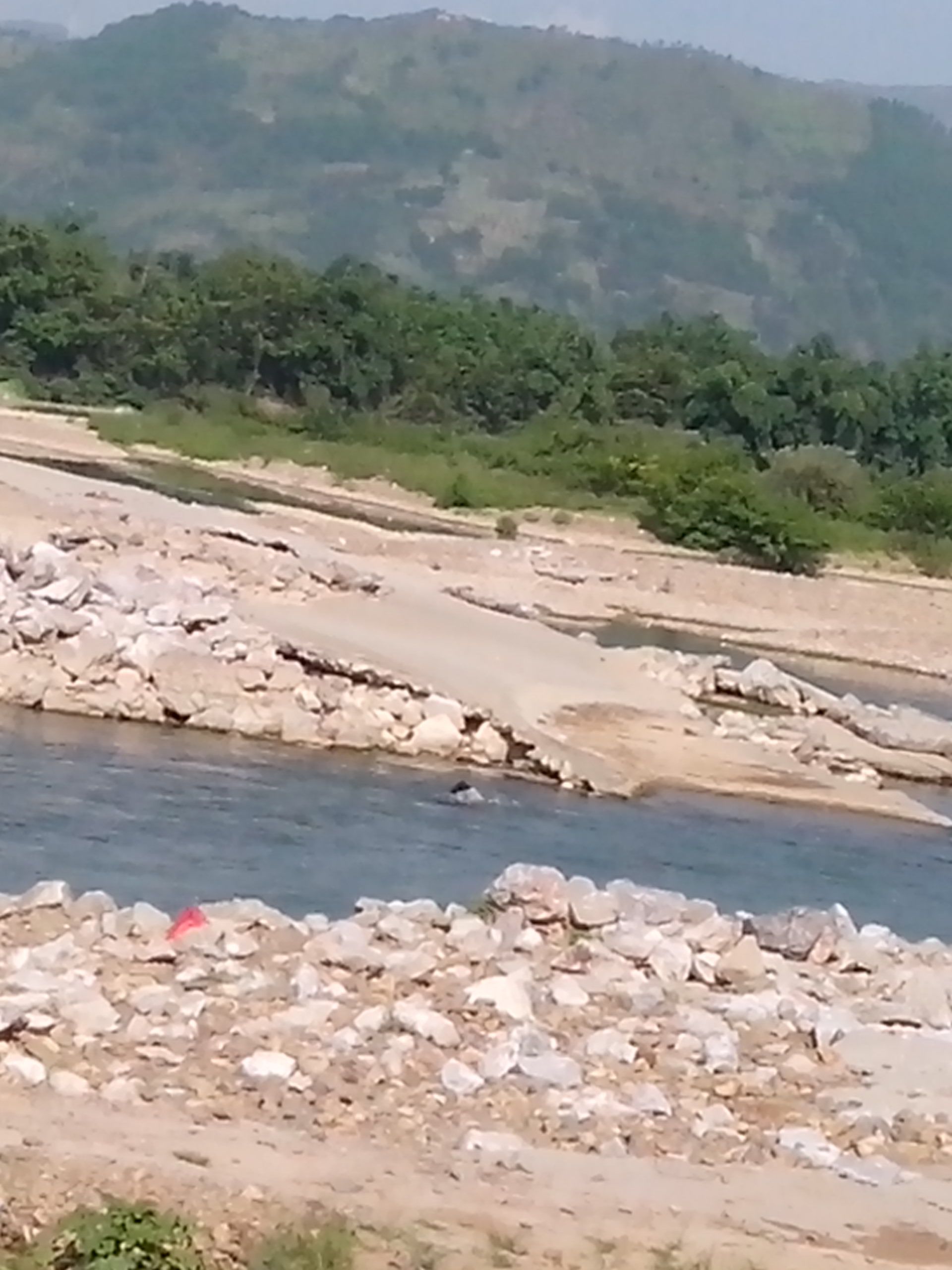 滨江苑发生溺水事件 尸体已经找到120 / 作者:键盘上的音符 / 帖子ID:93724