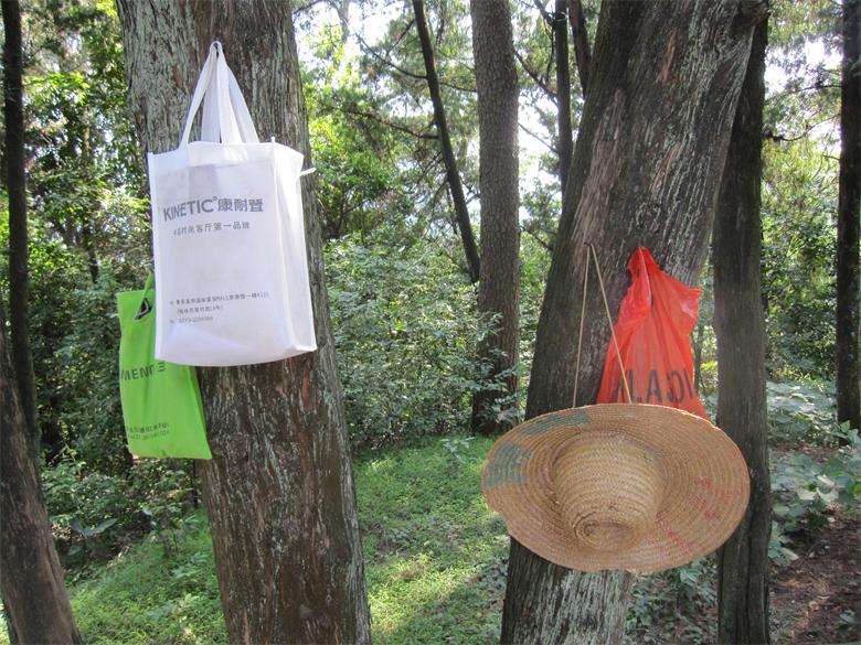 【今日话题】赶恭城闹子 找到个约会避暑的好地方70 / 作者:雨后彩虹 / 帖子ID:93809