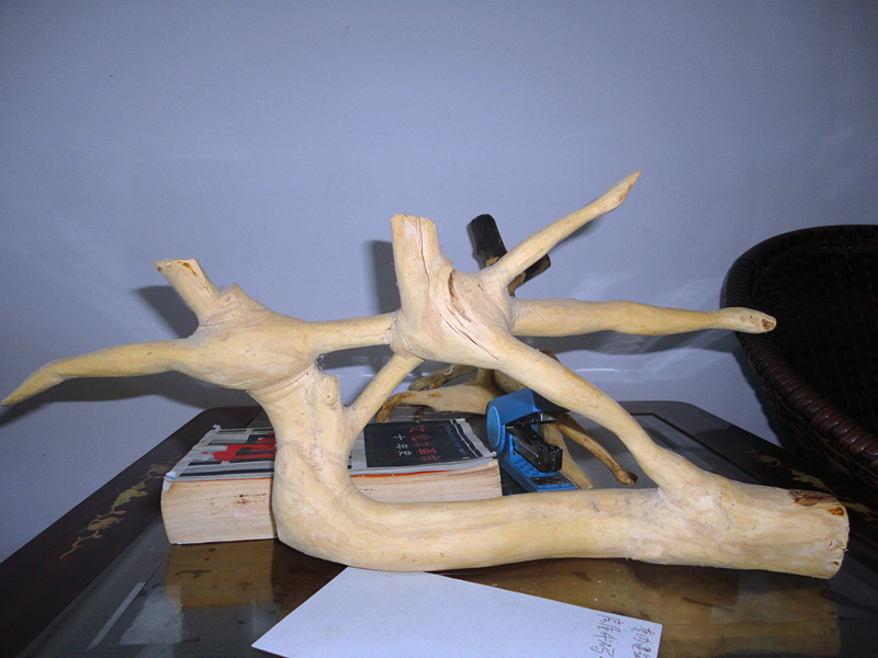 我削的柴蔸巴——冰上舞832 / 作者:可可 / 帖子ID:93836