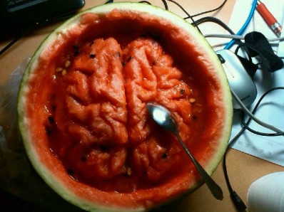 【今日吐槽8.5】西瓜菌很忙593 / 作者:结局、丆過如此 / 帖子ID:93857