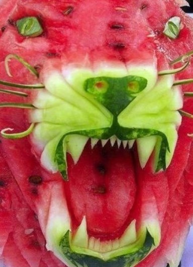 【今日吐槽8.5】西瓜菌很忙428 / 作者:结局、丆過如此 / 帖子ID:93857