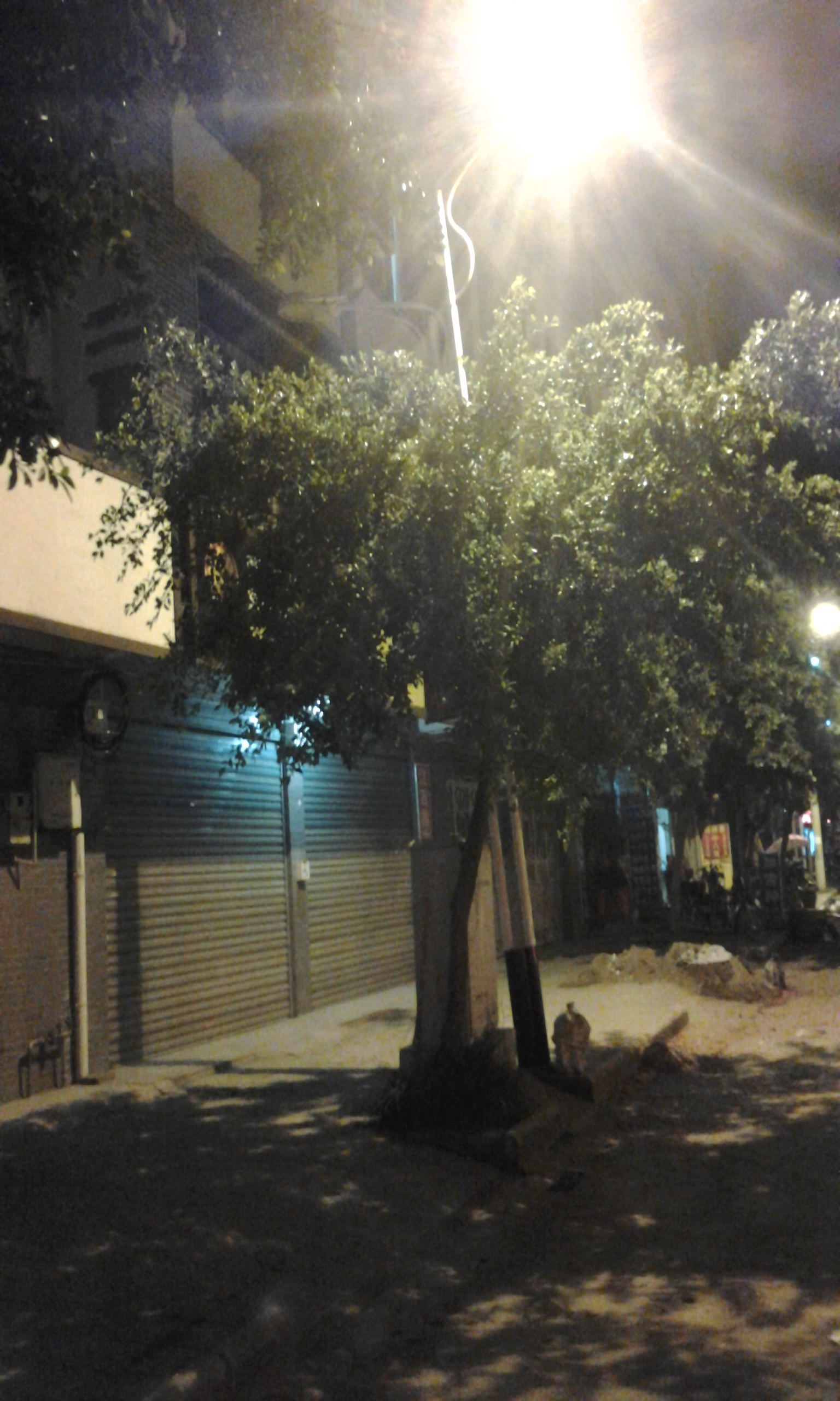 这样的路灯让人担心啊146 / 作者:镜中花 / 帖子ID:93888