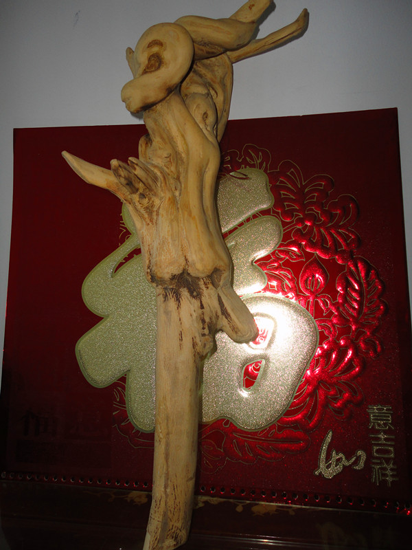 我削的柴蔸巴——背影、舞244 / 作者:可可 / 帖子ID:93897