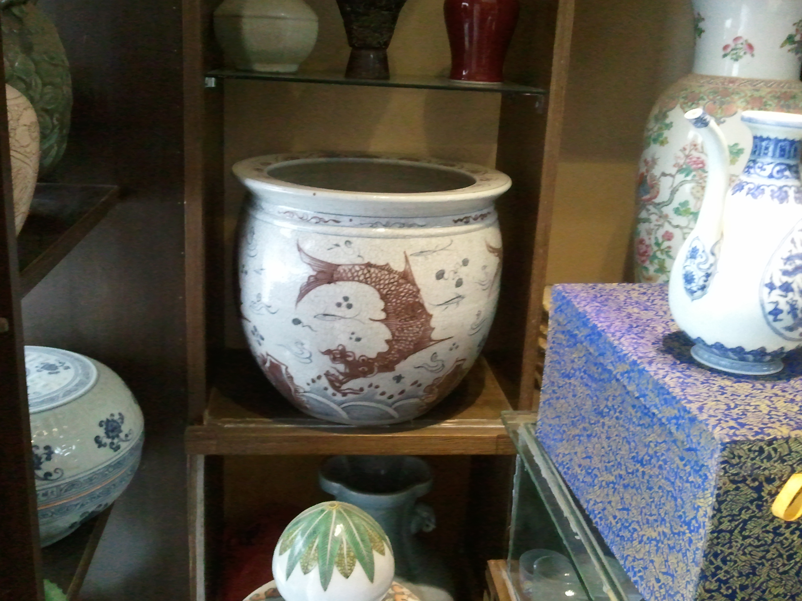 玩玩儿——花盆773 / 作者:可可 / 帖子ID:93898