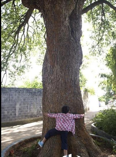 看完这个 我差点流泪了715 / 作者:容容 / 帖子ID:93902