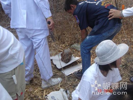 吃肉了486 / 作者:恭城蚂蜂 / 帖子ID:94016