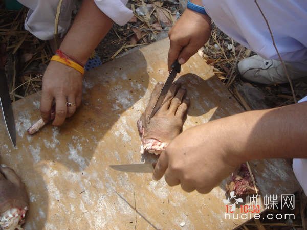 吃肉了449 / 作者:恭城蚂蜂 / 帖子ID:94016