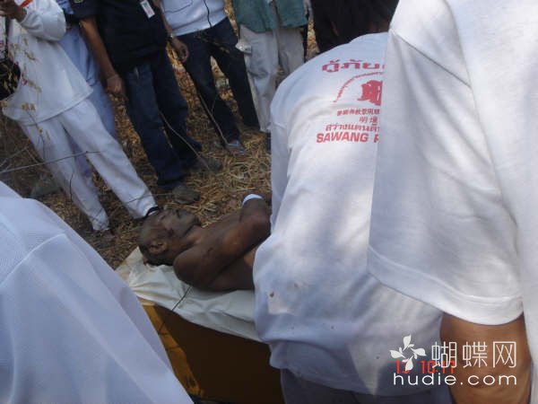 吃肉了757 / 作者:恭城蚂蜂 / 帖子ID:94016