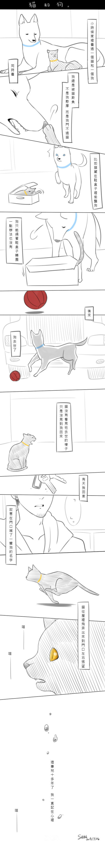 莫名戳中泪点的猫~139 / 作者:喵呜 / 帖子ID:94062