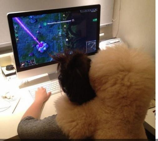 【今日吐槽8.10】网吧囧事：最敬业好队友 玩家逆天睡姿817 / 作者:容容 / 帖子ID:94080