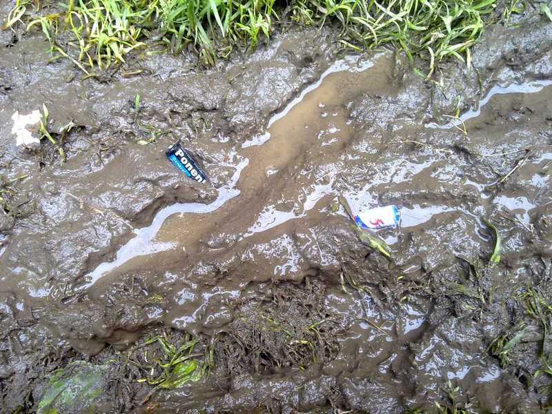 您家的废旧电池是怎么处置的？217 / 作者:北辰 / 帖子ID:94261