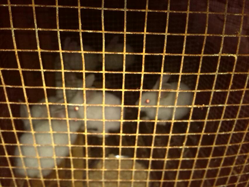 过年合适了191 / 作者:烟火的暧昧 / 帖子ID:94314