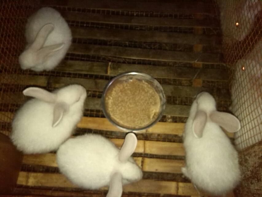 过年合适了284 / 作者:烟火的暧昧 / 帖子ID:94314