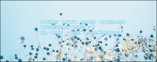 【丽儿专属】表格排版教程。907 / 作者:麗児mmmmm / 帖子ID:94372