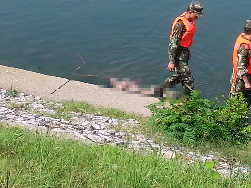 滨江苑发生溺水事件 尸体已经找到129 / 作者:键盘上的音符 / 帖子ID:93724