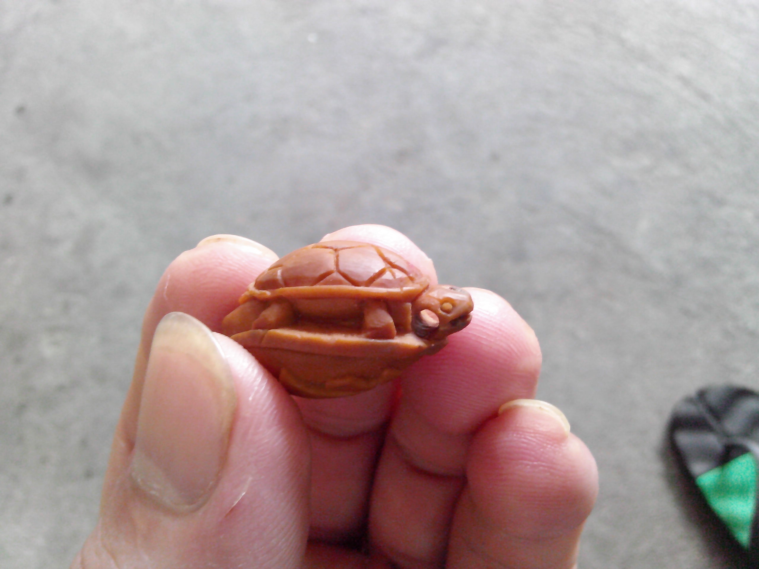 王八蛋，还有福！405 / 作者:排散 / 帖子ID:94866