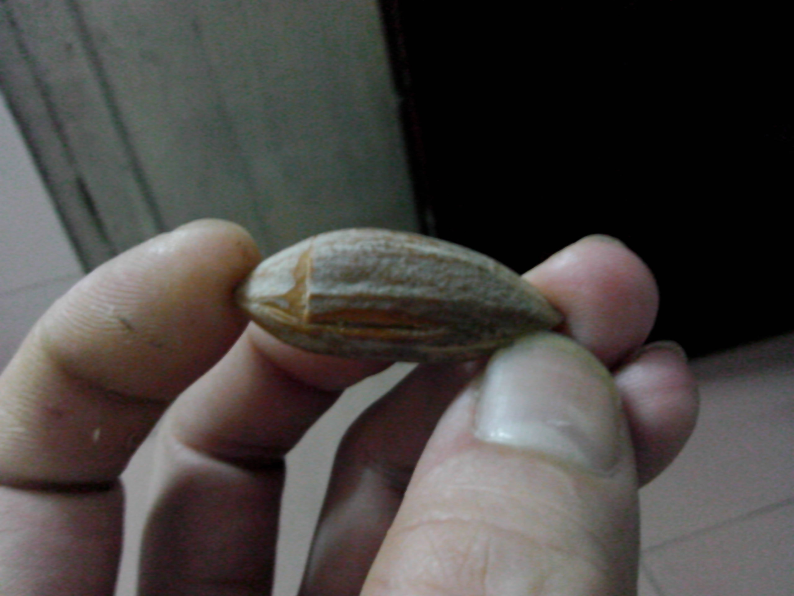 新尝试！痛并快乐着！92 / 作者:排散 / 帖子ID:94895