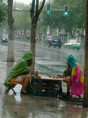 牛人年年有，今年特别多115 / 作者:键盘上的音符 / 帖子ID:95300