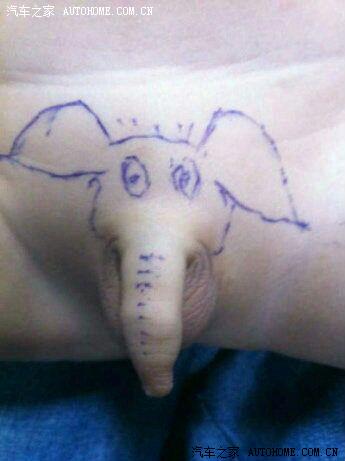 这头小象可以拜890 / 作者:否定一切 / 帖子ID:95309