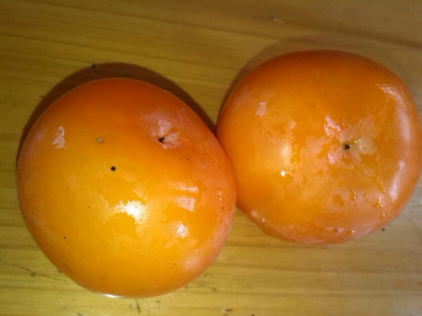 柿子熟了.....147 / 作者:烟火的暧昧 / 帖子ID:95679