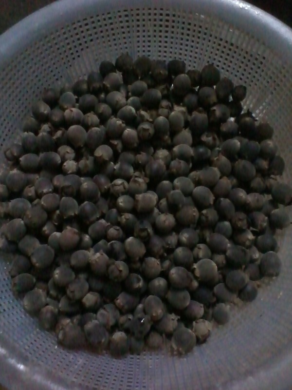 酒饼果熟了34 / 作者:烟火的暧昧 / 帖子ID:95683