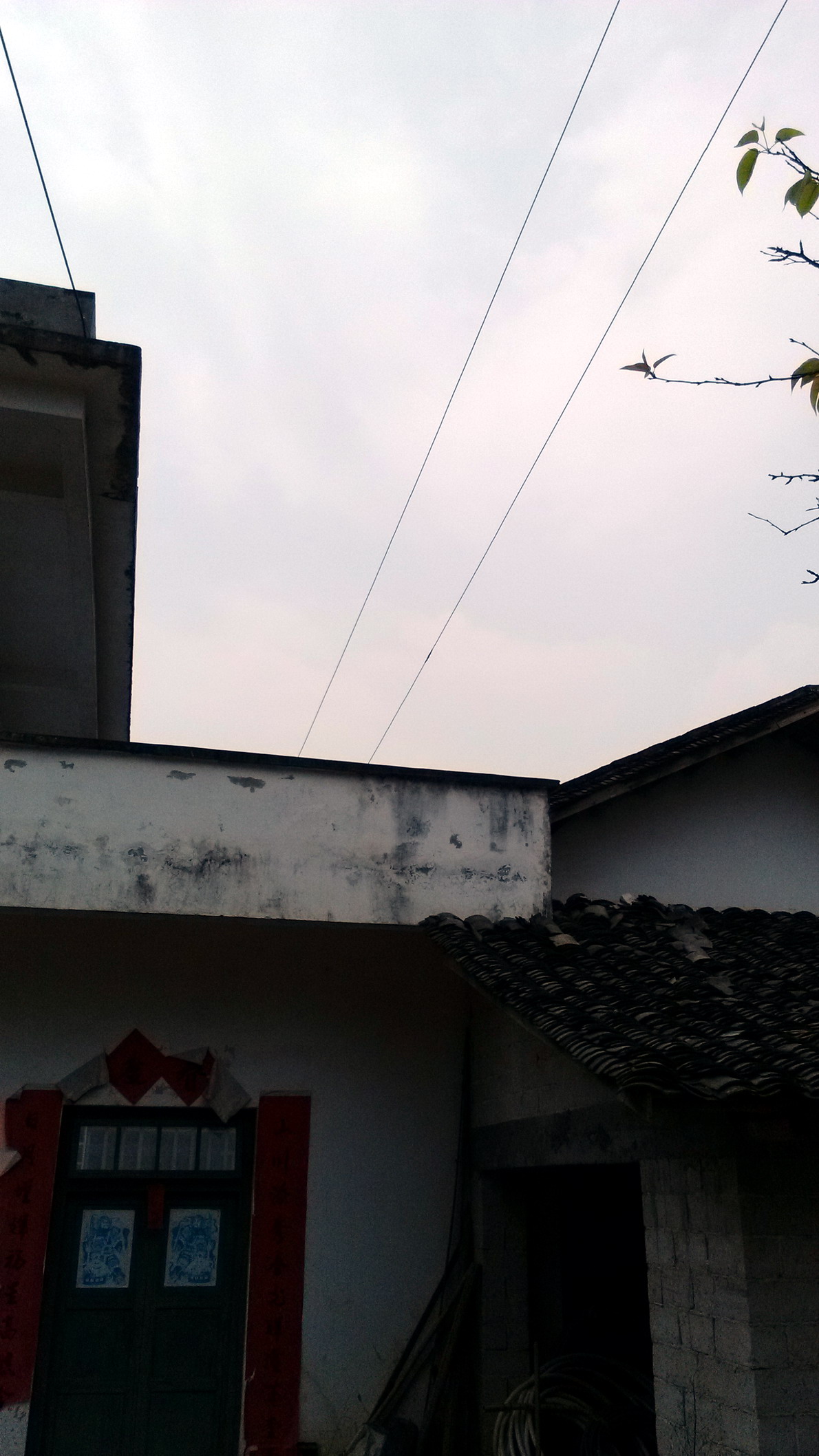 关注一下栗木高岭鱼鳞塘农村电网。986 / 作者:天上人间 / 帖子ID:95776