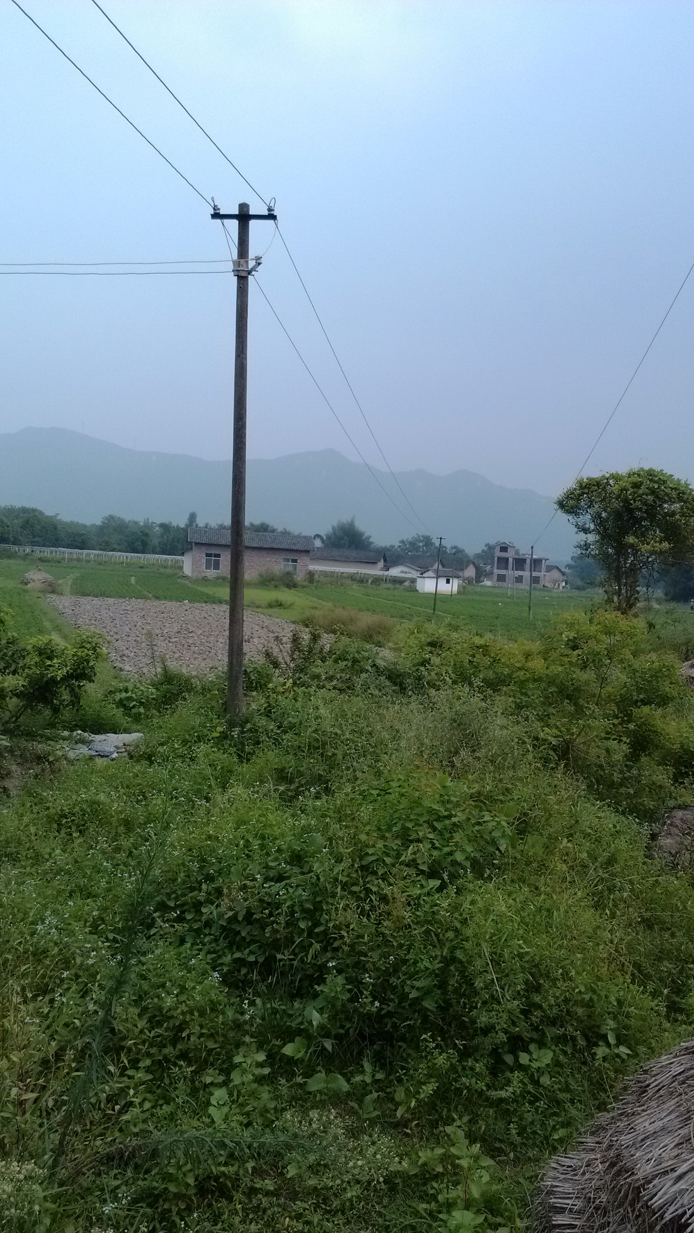 关注一下栗木高岭鱼鳞塘农村电网。522 / 作者:天上人间 / 帖子ID:95776