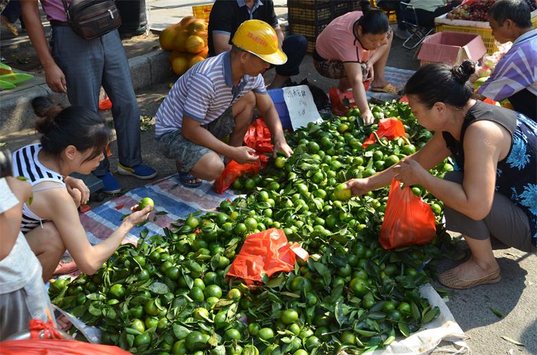 【今日话题】 中秋佳节  市民菜市场买菜忙573 / 作者:北辰 / 帖子ID:95836