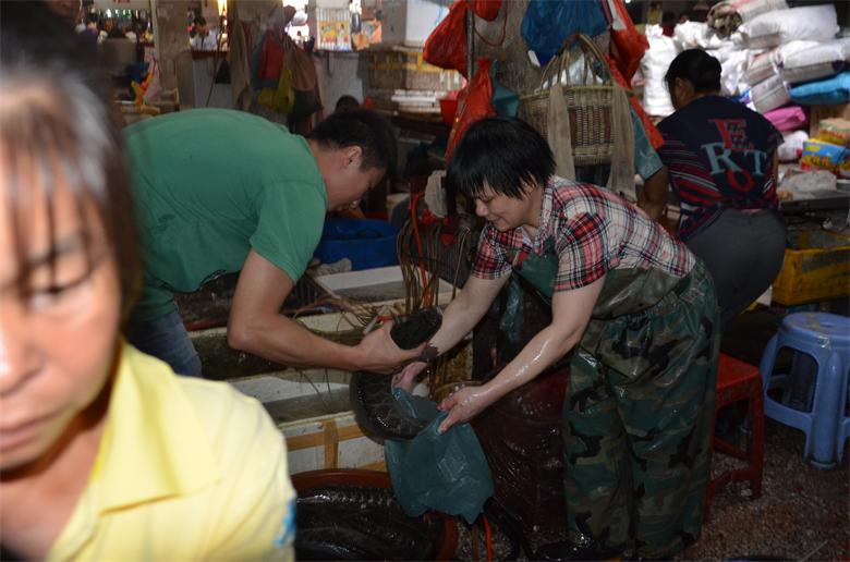 【今日话题】 中秋佳节  市民菜市场买菜忙14 / 作者:北辰 / 帖子ID:95836