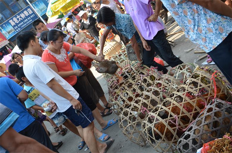 【今日话题】 中秋佳节  市民菜市场买菜忙194 / 作者:北辰 / 帖子ID:95836