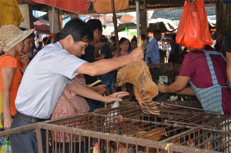 【今日话题】 中秋佳节  市民菜市场买菜忙631 / 作者:北辰 / 帖子ID:95836