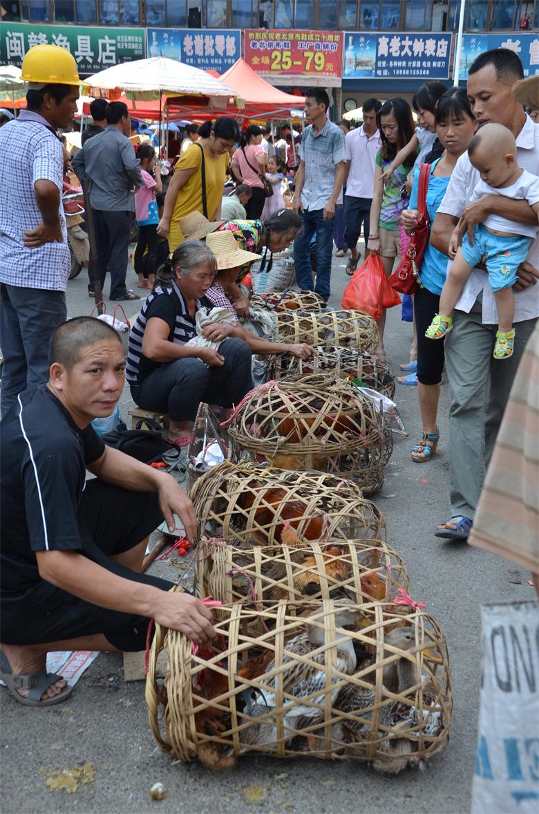 【今日话题】 中秋佳节  市民菜市场买菜忙920 / 作者:北辰 / 帖子ID:95836