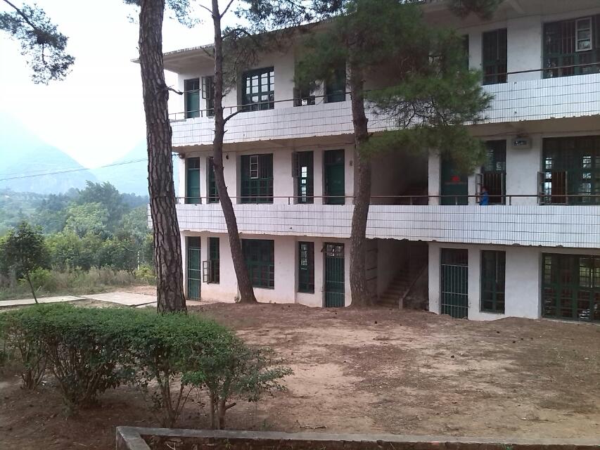 西岭中学的回忆294 / 作者:烟火的暧昧 / 帖子ID:95901