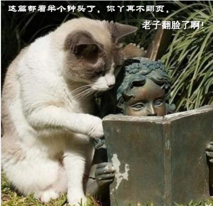 再不翻我就翻脸了啊282 / 作者:否定一切 / 帖子ID:95986