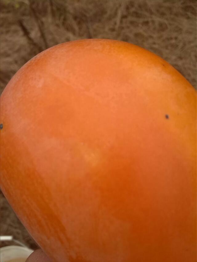 dia 口水了摆？678 / 作者:烟火的暧昧 / 帖子ID:96000