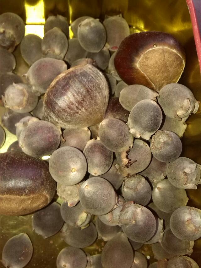 至爱的组合667 / 作者:烟火的暧昧 / 帖子ID:96007