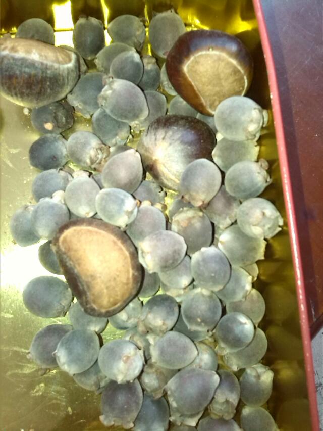 至爱的组合242 / 作者:烟火的暧昧 / 帖子ID:96007