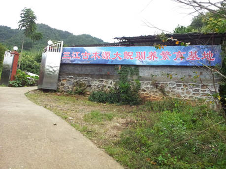 三江古木源大鲵养殖专业合作社欢迎您！329 / 作者:雨楼 / 帖子ID:96168