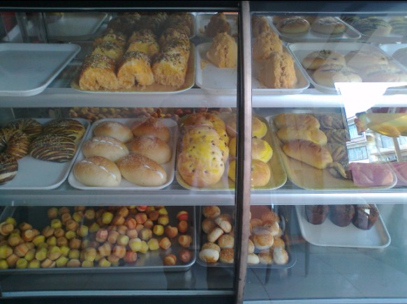 随拍79 / 作者:乐乐 / 帖子ID:96545