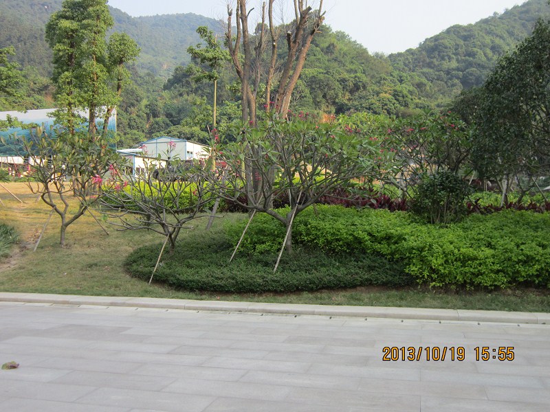 羊台山山脚风景146 / 作者:←￠华◥眚☆ / 帖子ID:96827