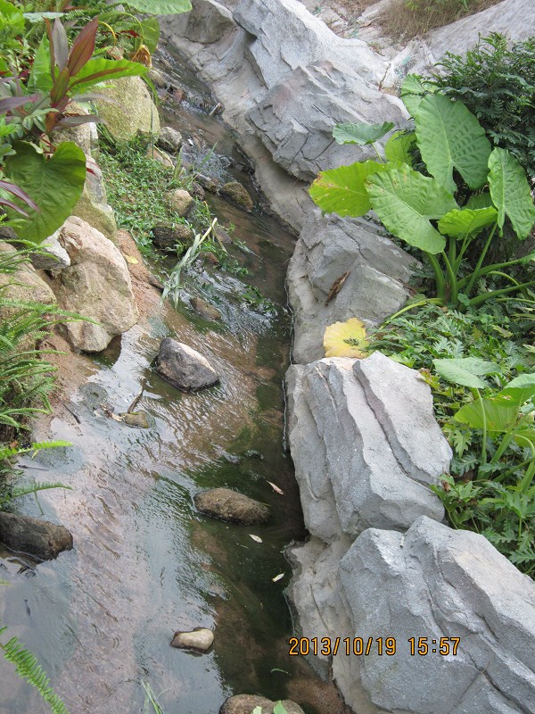 羊台山山脚风景548 / 作者:←￠华◥眚☆ / 帖子ID:96827