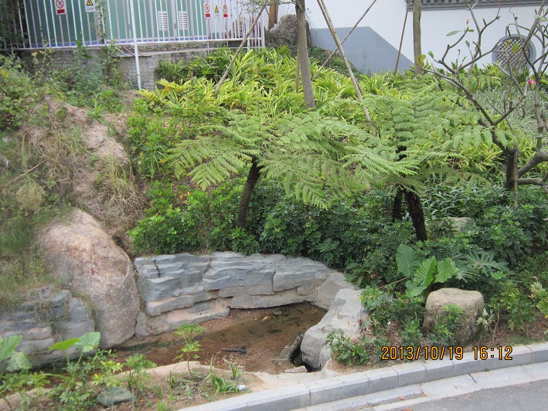 羊台山山脚风景568 / 作者:←￠华◥眚☆ / 帖子ID:96827
