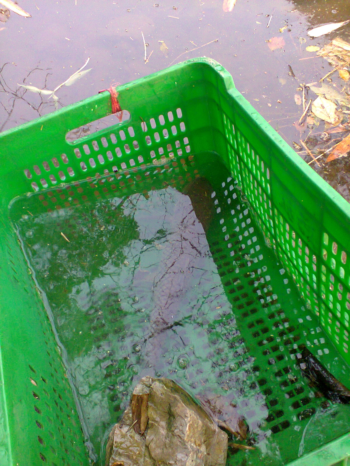 想看水车的看过来732 / 作者:否定一切 / 帖子ID:96964